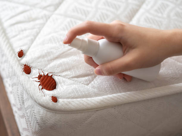 Best Pest Inspection Near Me  in Hometown, PA