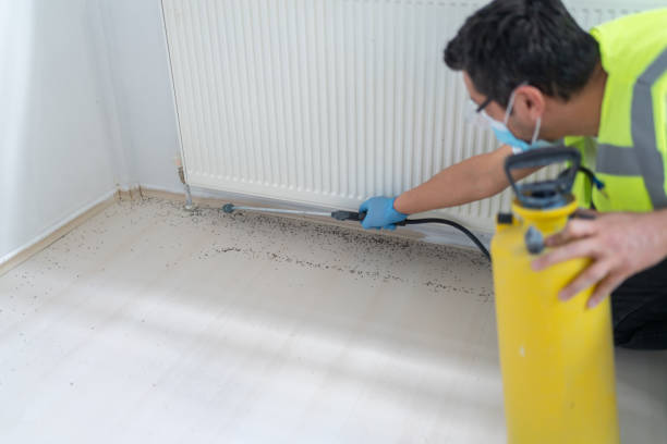 Best Termite Control Services  in Hometown, PA